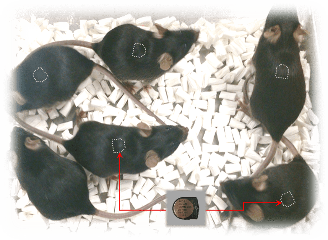 image_nanotag